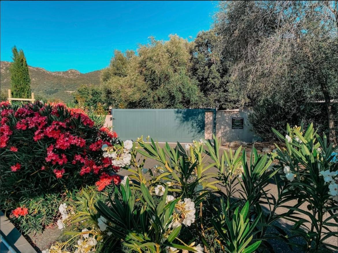 Casa Giabiconi - 6pers. Piscine & Villa *